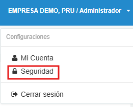 Apartado de Seguridad