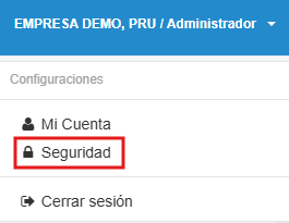 Apartado de Seguridad 2